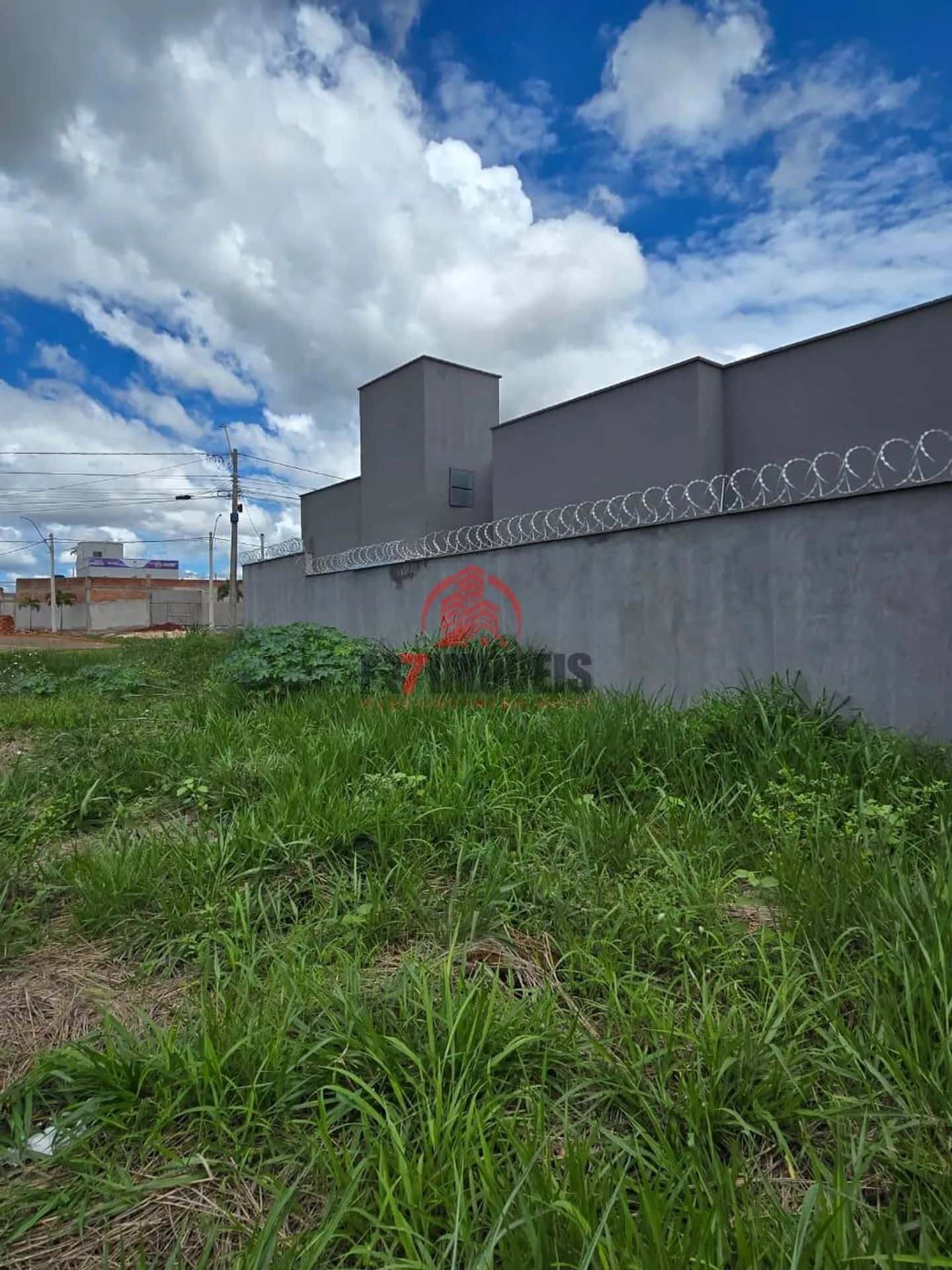 Imagem 6