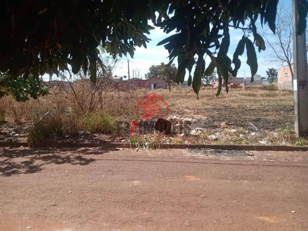 Imagem 4